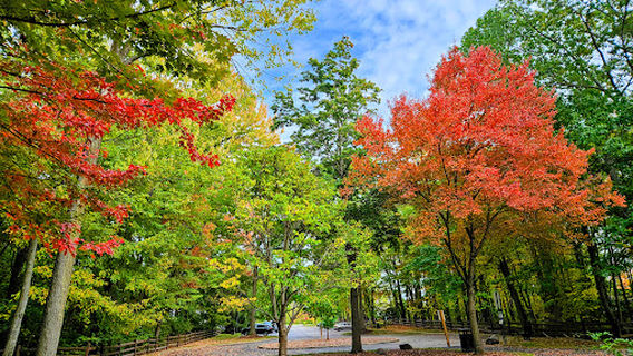 Olmsted Falls East River Park