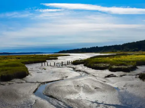Theler Wetlands Trail