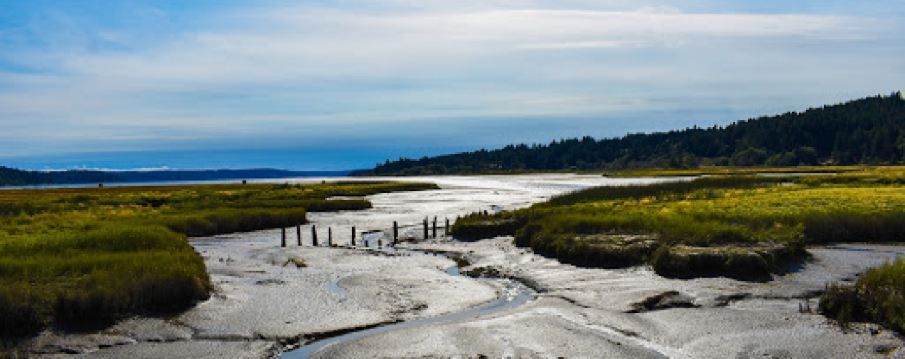 Theler Wetlands Trail