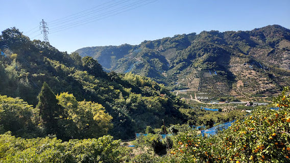 Yuasa