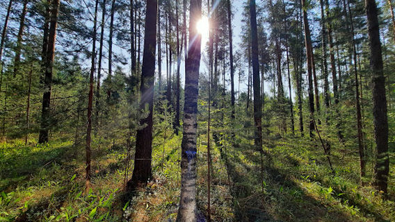 Mariy Chodra National Park