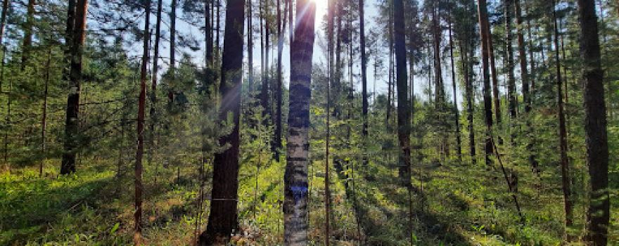 Mariy Chodra National Park