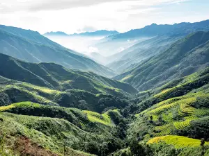 Ta Xua Nature Reserve