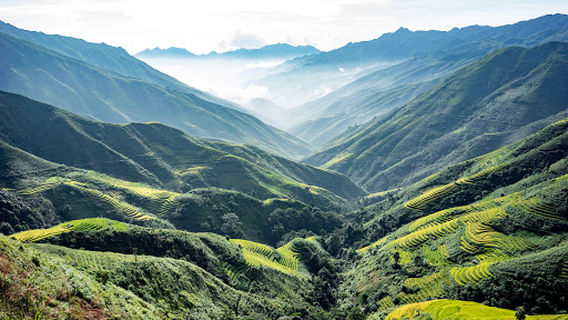 Ta Xua Nature Reserve