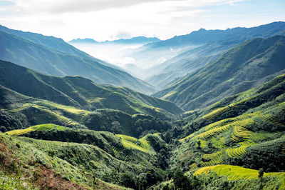 Ta Xua Nature Reserve