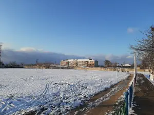 Stadion Dlya Nastoyashchikh Muzhikov