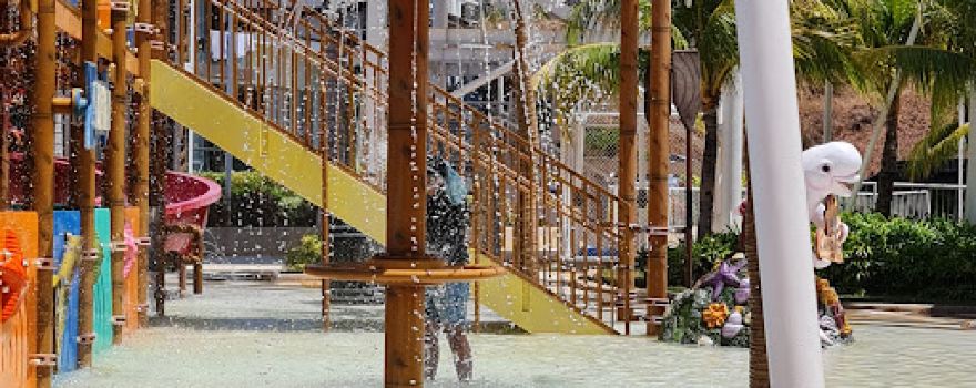 Camaya Coast Beach Properties