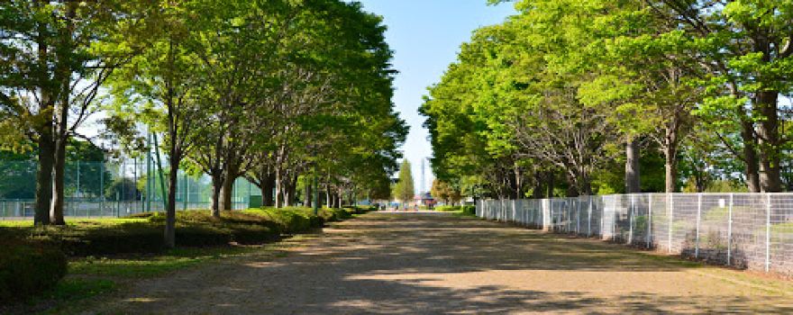 Shiraoka City Multi Purpose Sports Park