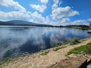 Presa Brockman Mirador