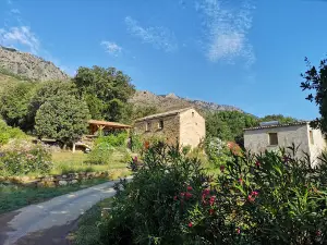 Camping Saint Pancrace