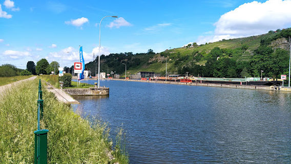 Neckarbiotop Zugwiesen