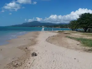 Lyssons Beach