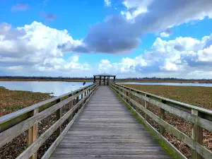 Cattail Marsh Scenic Wetlands & Boardwalk