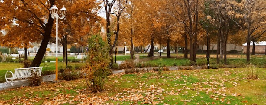 Laleh park