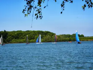 Activital Base Sport & Nature de Baye