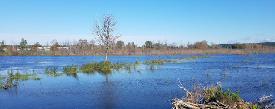 Grebe Park
