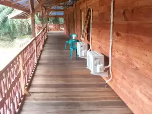 Titi Mangga