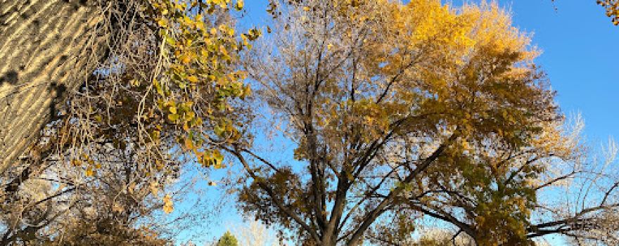 Bishop City Park