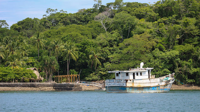 Bioluminescence Costa Rica