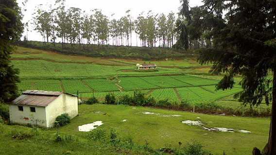 Ooty Golf Course