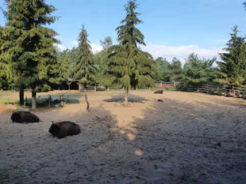 Wisentpark Insel Usedom