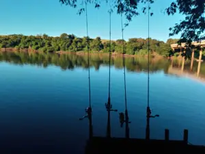 Rio Barreiro