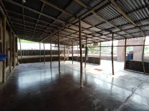 Nidaria Masjid