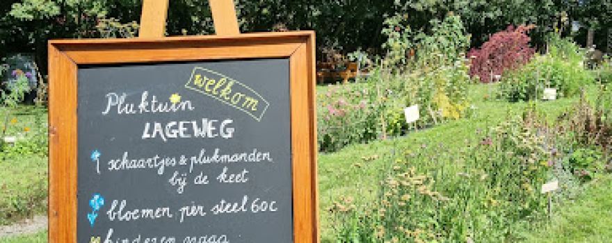 Pluktuin Lageweg