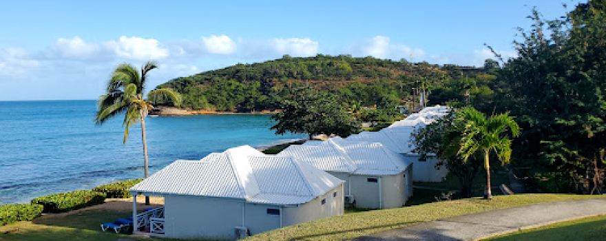 Pearns Point