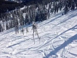Blacktail Mountain Ski Area