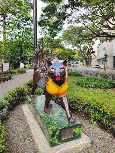 El Gato del Río