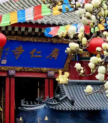 โรงแรมใกล้เรียวกังอินิ