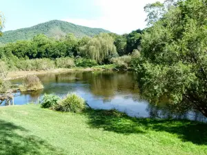 Knorrit Flat Riverside Camp