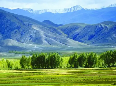 Nimu National Forest Park