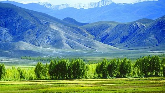 Nimu National Forest Park