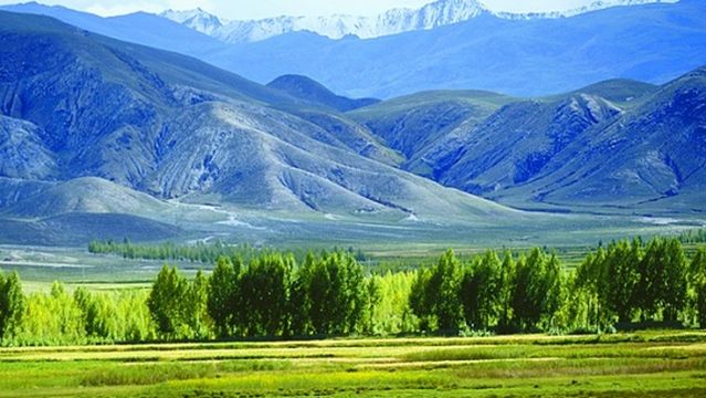 Nimu National Forest Park