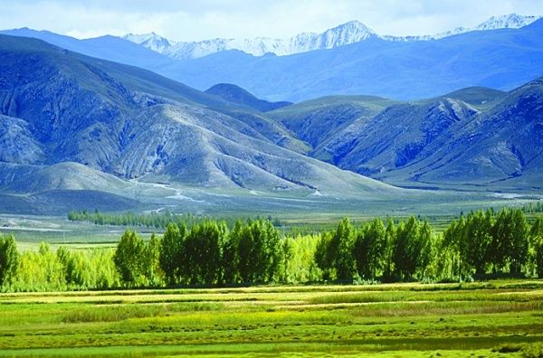 Nimu National Forest Park
