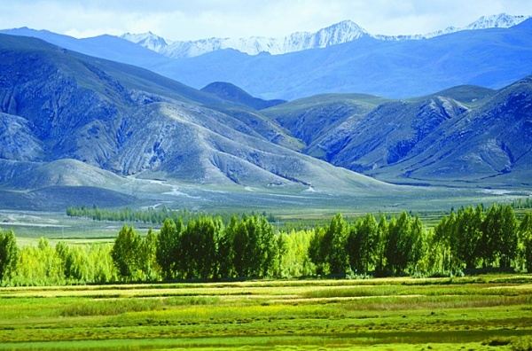 Nimu National Forest Park