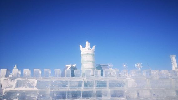 cha gan hu sheng tai xiao zhen bing xue jia nian hua