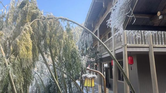 yun bing shan qian hu yao zhai