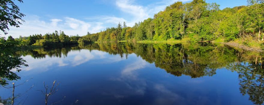Upperlands Mill And Dam Trail