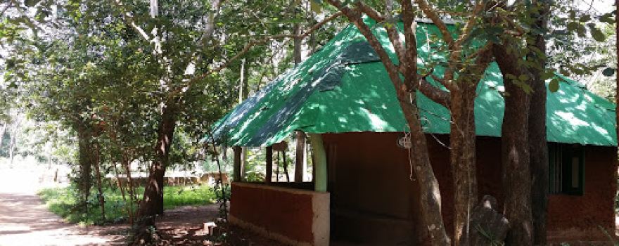Yoga Weda Asapuwa