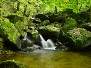 Stillensteinklamm