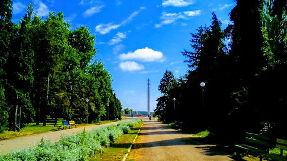Vidin