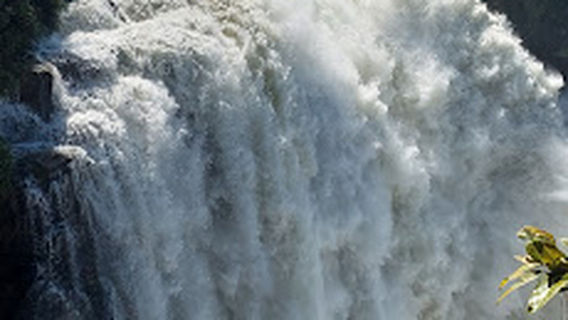 David Livingstone Statue