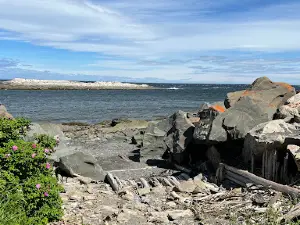 Rocher aux Cormorans