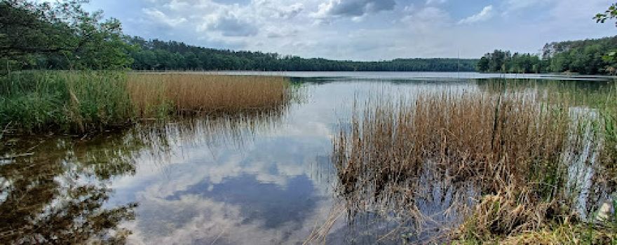 Jezioro Białe - Pole Namiotowe, Plaża