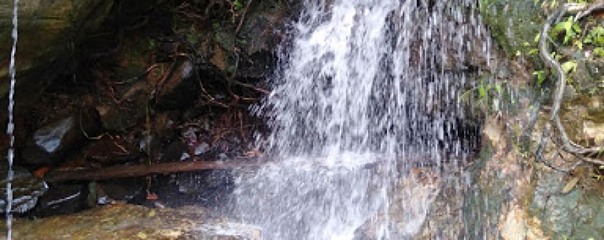Wisata Alam Muaro Tigo