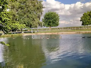 Lake Woollomes