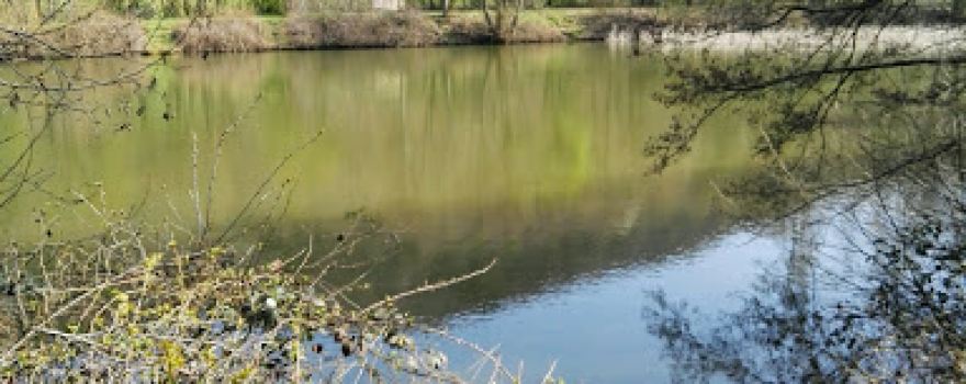 Winchendeller Weiher